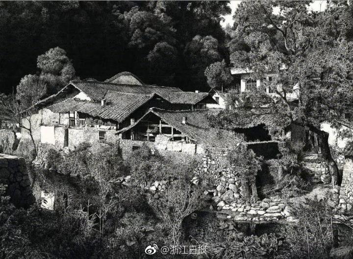 The WHO launched a campaign to eliminate polio in three remaining countries