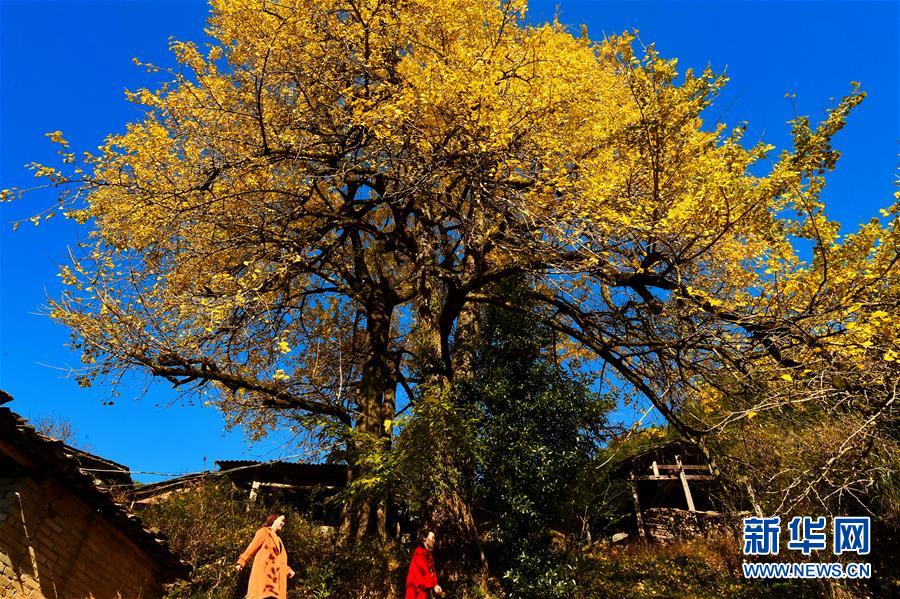 Local businesses joined a campaign to reduce energy use during peak hours