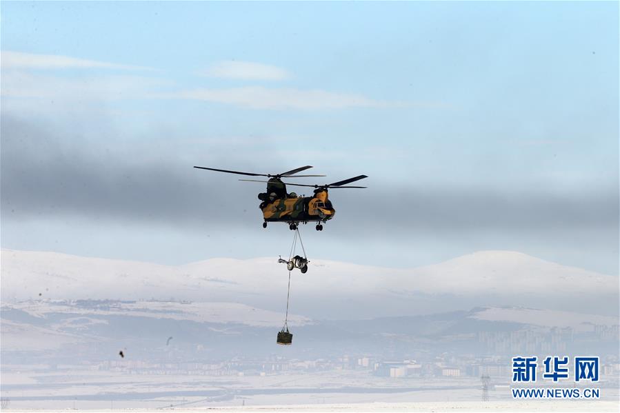 Health officials issued a warning about a rise in cases of Lyme disease in wooded suburban areas