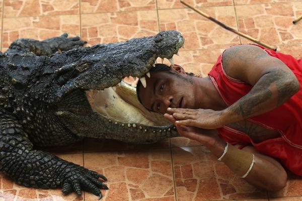 A city installed new benches and water fountains in public parks to improve visitor comfort