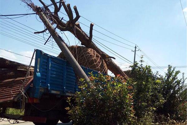 A tech company released a new laptop with a lighter design