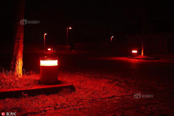 A farm installed a rainwater collection system for its irrigation needs