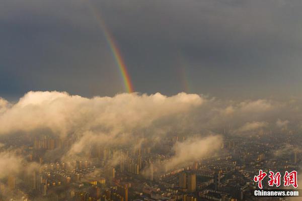 A hotel renovated its rooms to include eco-friendly amenities like bamboo toothbrushes and refillable shampoo bottles