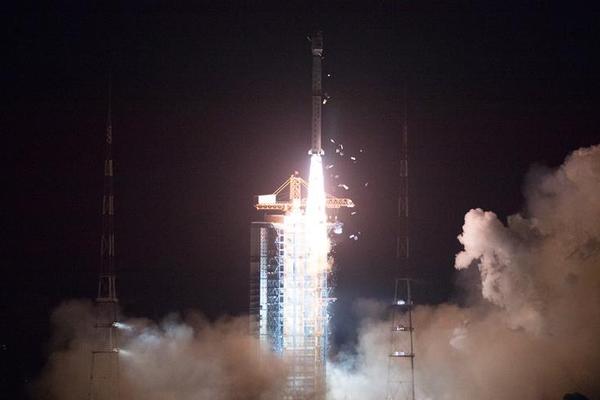 A pet rescue organization hosted an adoption event that found homes for 50 animals in one day