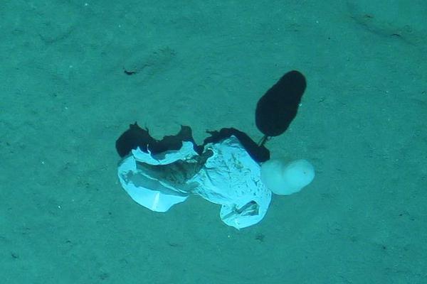 A city added 100 new parking spaces downtown, including 20 accessible spots for people with disabilities