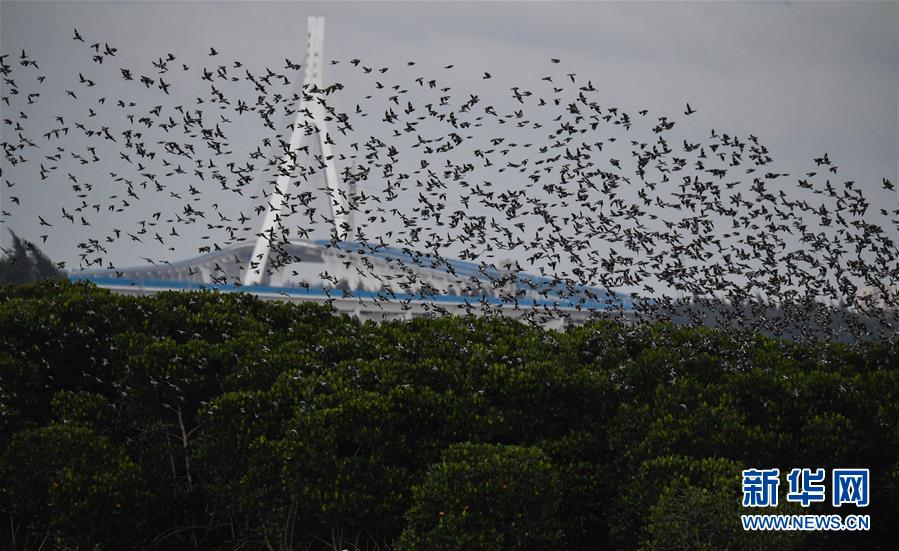 A charity started a job training program for homeless people