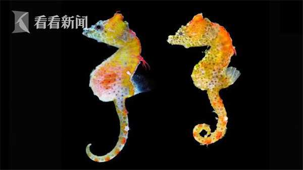 Sheriff’s department increases patrols in residential neighborhoods