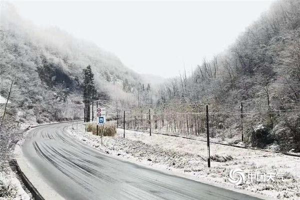 A pet store started offering 