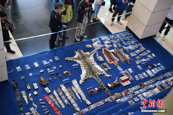 Two neighboring countries signed a historic peace agreement after three years of diplomatic negotiations