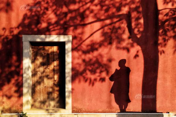 A charity raised funds to support animal shelters that care for abandoned pets