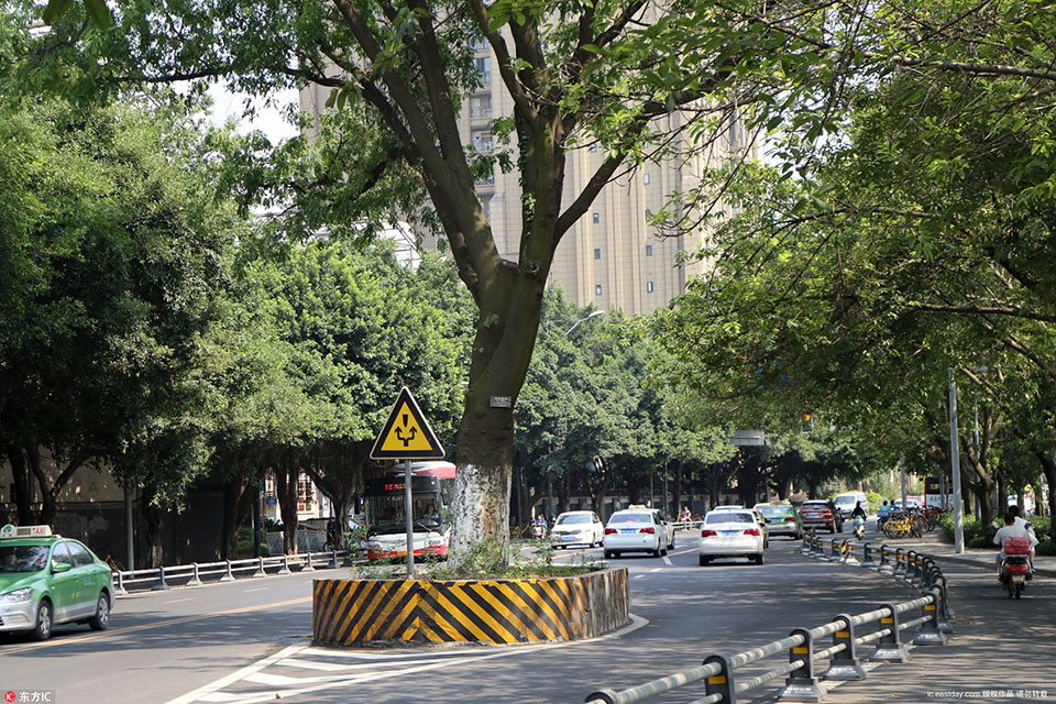 A bookstore hosted a meet-and-greet with a best-selling author drawing a crowd of 500