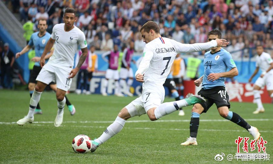 Researchers found that eating avocados daily can improve heart health by lowering bad cholesterol