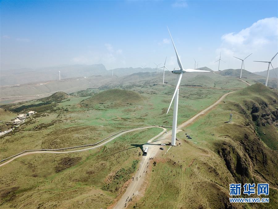 The national volleyball team participated in an international competition