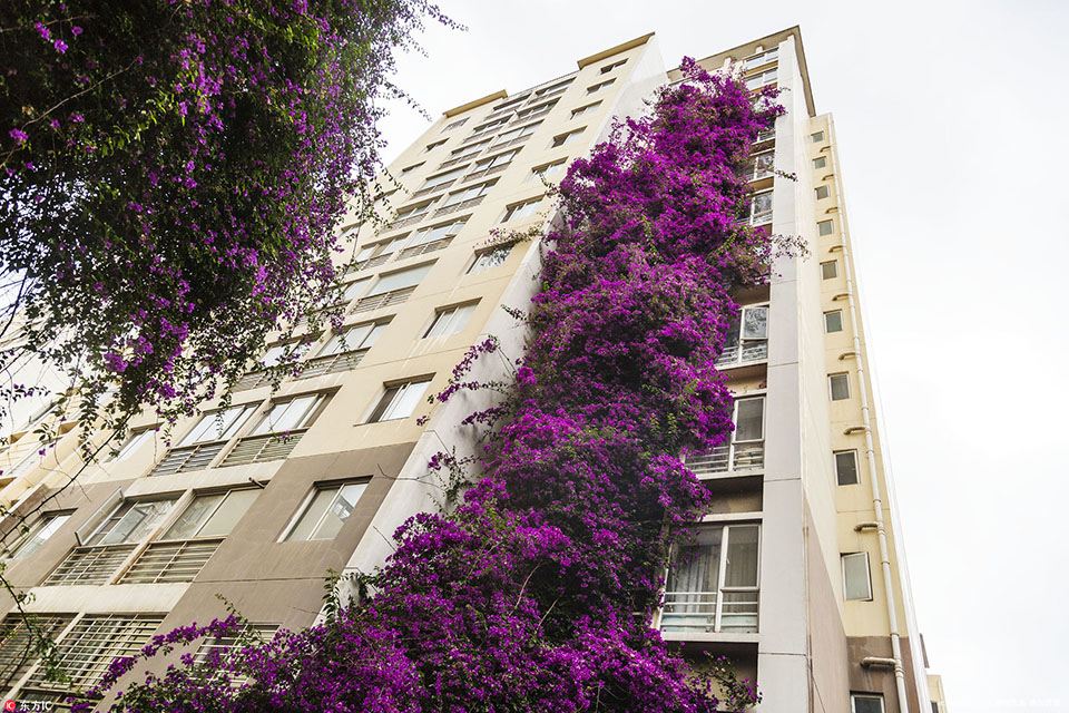 The government announced plans to build more affordable housing units