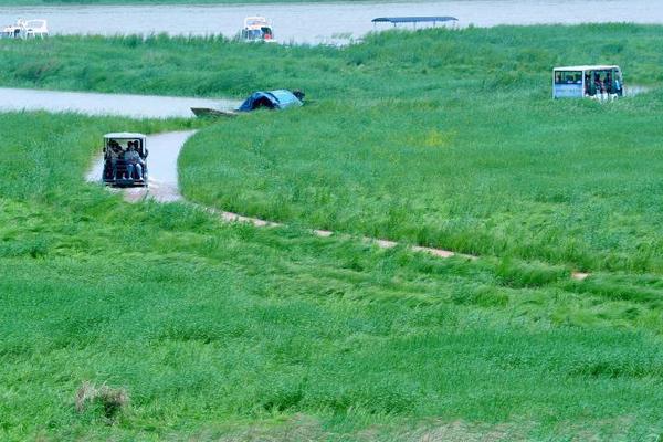 Farmers reported higher crop yields this season due to favorable weather conditions