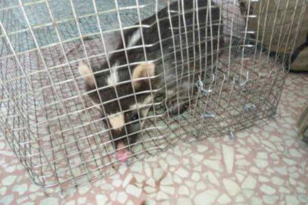 A major clothing brand announced a campaign to promote body positivity