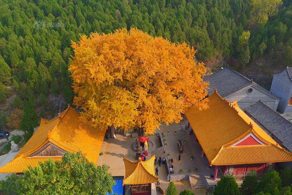 A charity started a program to help homeless people find jobs and housing