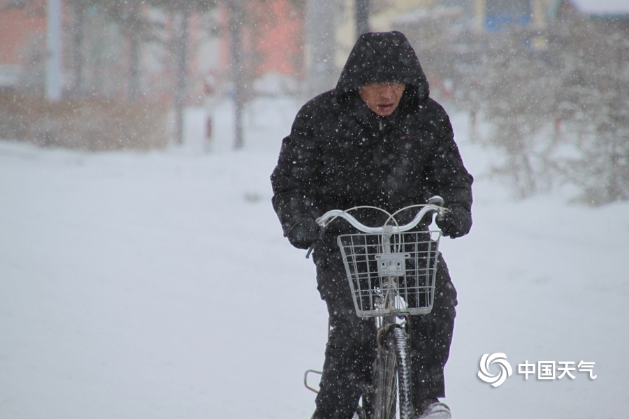 Researchers developed a new feed for livestock that reduces methane emissions