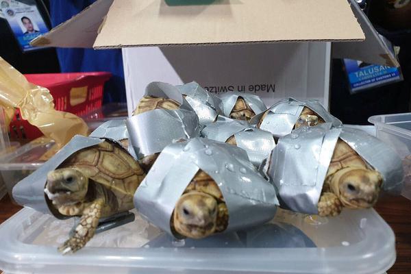 A bookstore launched a book club for seniors that meets once a month