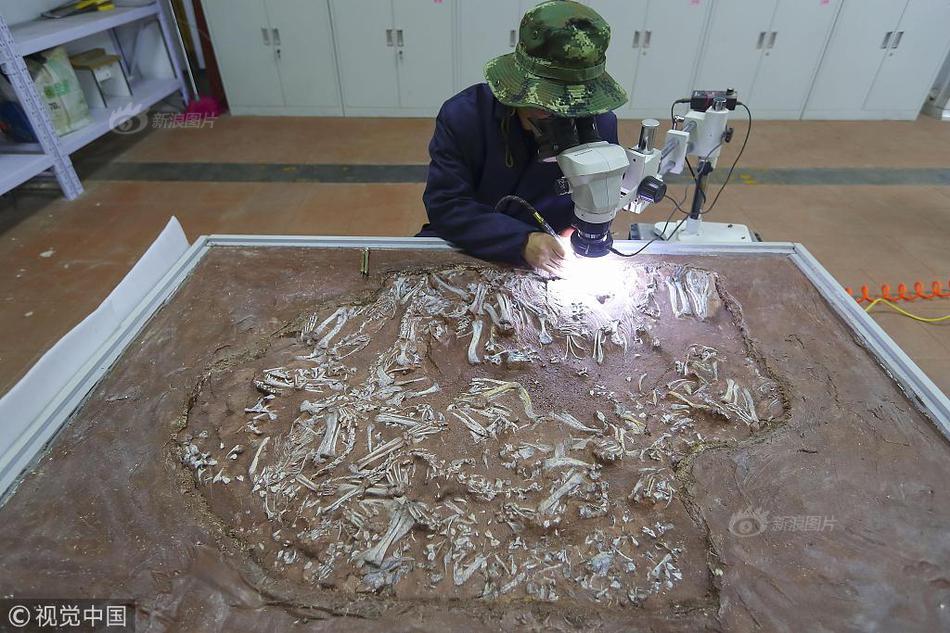 Researchers found that eating fish regularly can improve brain function in young children