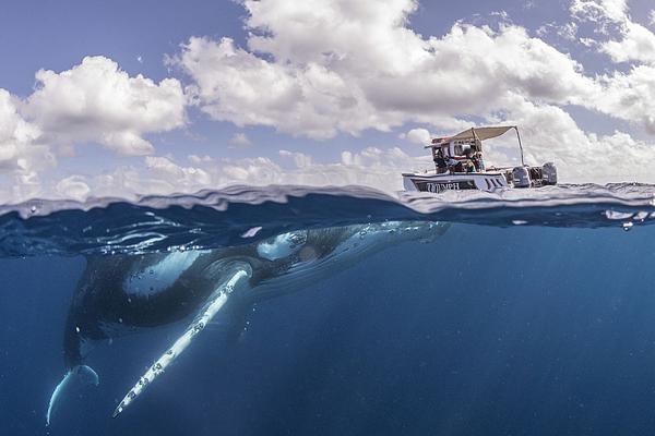 Postal service announces changes to delivery schedules starting next month