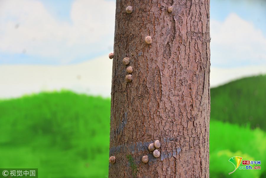 Local schools implemented new safety measures to protect students and staff