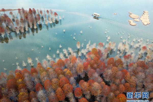 Health experts released new guidelines recommending adults get at least seven hours of sleep nightly for optimal health