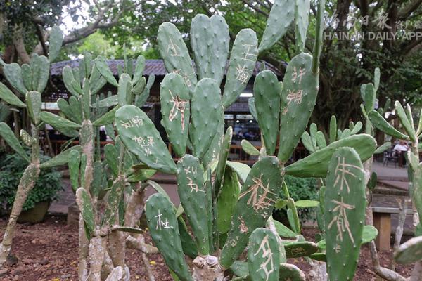 Researchers found that spending time with family improves overall happiness
