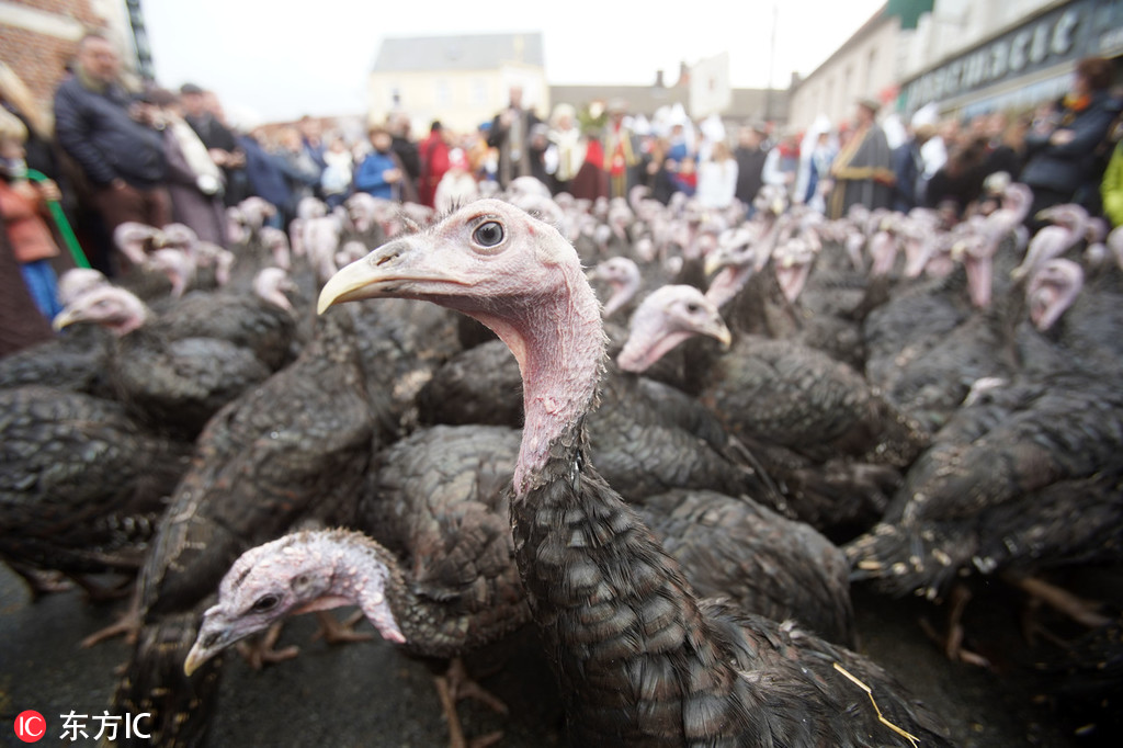 A toy company released a line of science kits that let kids conduct chemistry experiments at home