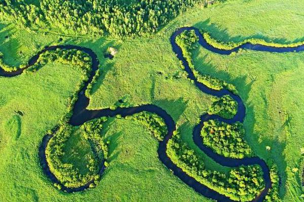A tech startup created an app that helps users track their food waste at home