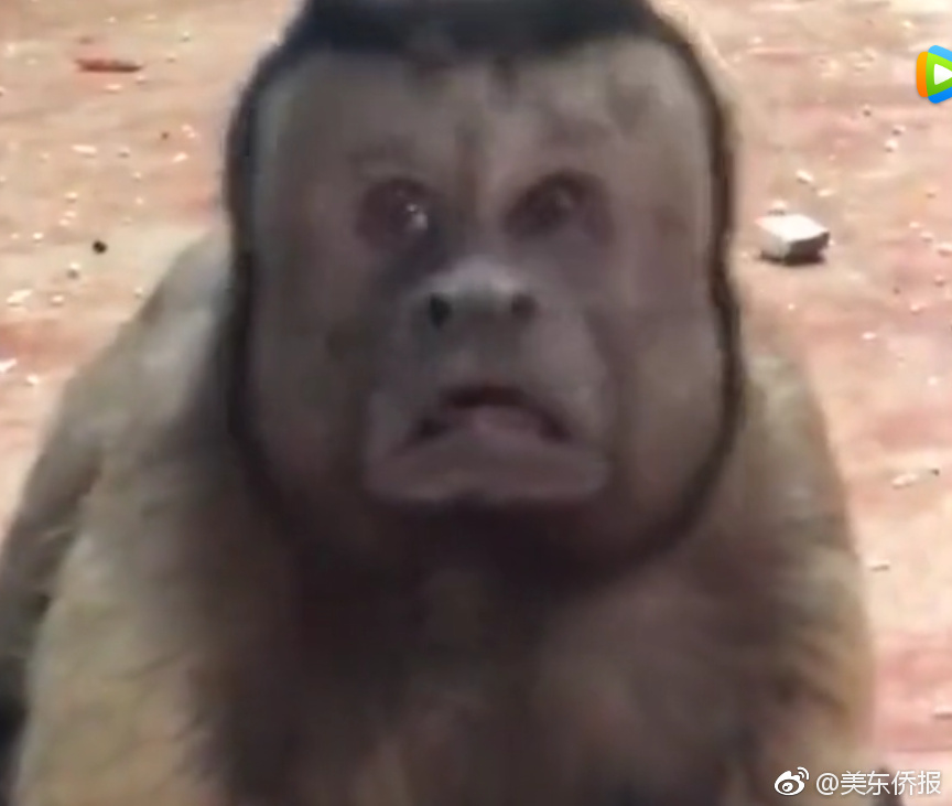 A tech company released a software update that adds new security features