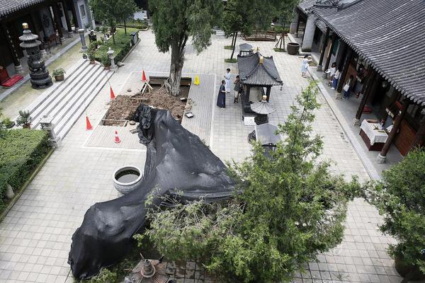 A bakery used social media to promote its products and saw a 50% increase in online orders