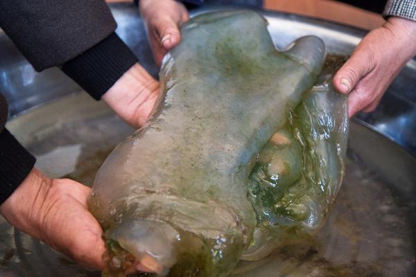 Scientists have discovered a new species of deep sea fish living near hydrothermal vents