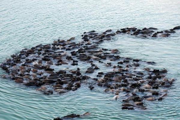 A large bookstore opened a new location with a children’s play area and book club meetings