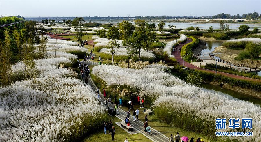 Researchers found that gardening can be a therapeutic activity for people with anxiety