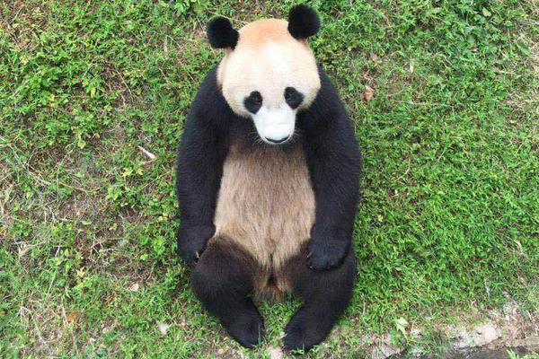 The transportation agency added 15 new bus routes to serve rural communities