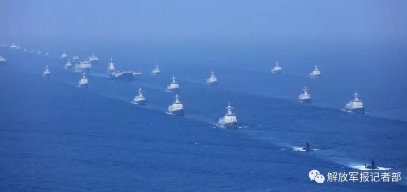 Researchers discovered a new species of frog in the Amazon rainforest