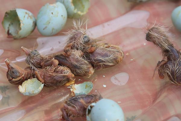 A coffee chain announced it will offer free refills for customers with reusable cups