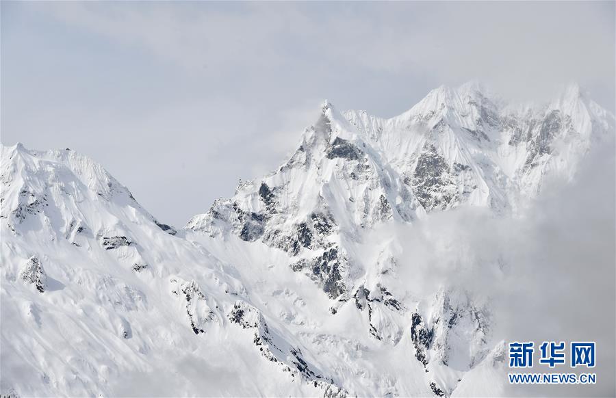 Local government plants 1000 trees to improve air quality in urban neighborhoods