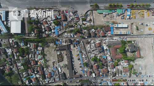 Study shows that owning a dog increases physical activity levels in seniors