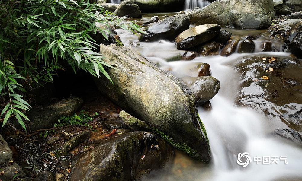 A scientist published a study showing that urban green spaces can lower air pollution levels