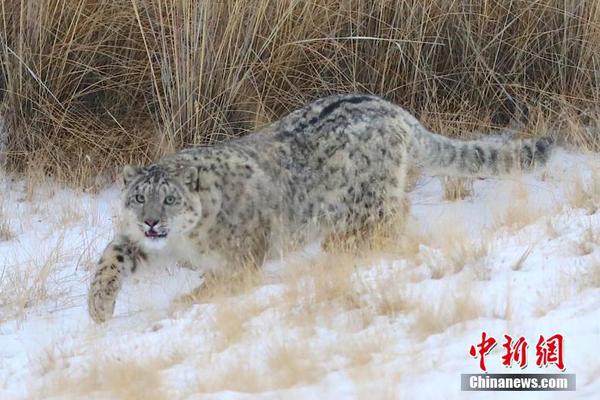 Volunteers cleaned up 8 miles of hiking trails in a national park removing trash and debris