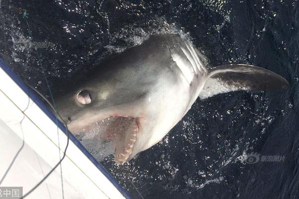 A hotel renovated its lobby to include a modern seating area and free coffee for guests