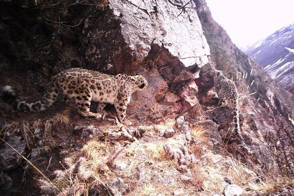 The city started a composting program to turn food waste into fertilizer for public gardens