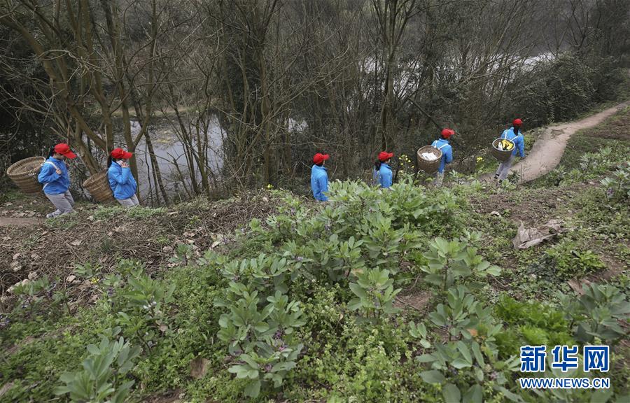 A school started a garden project to teach students about growing food