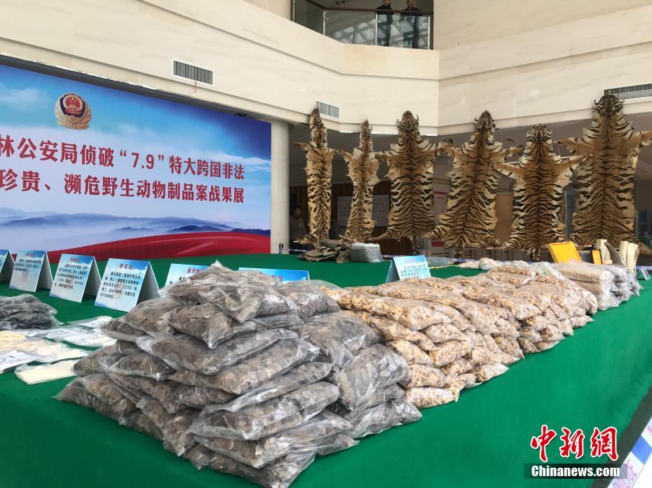 A city installed new public art installations in downtown areas to attract tourists