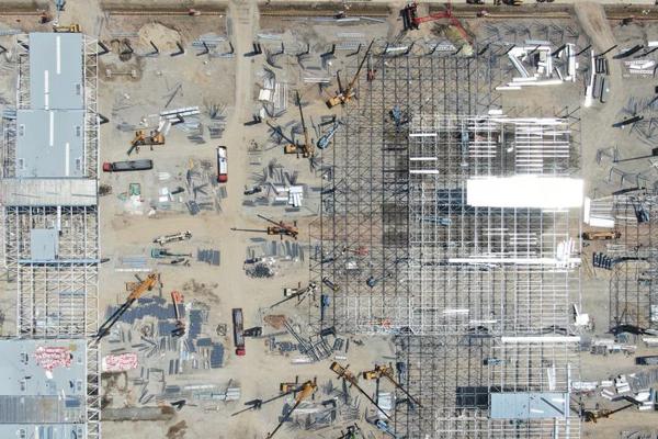 Researchers discovered that plants respond to sound waves by growing faster