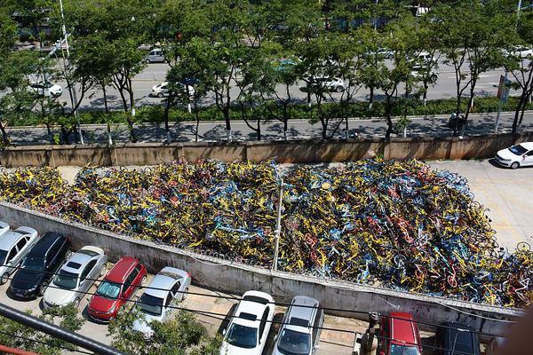 The government invested in the development of wind and solar energy projects