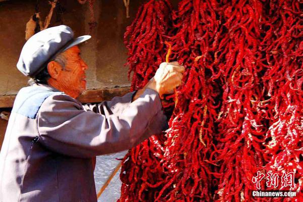 A coffee shop started a loyalty program