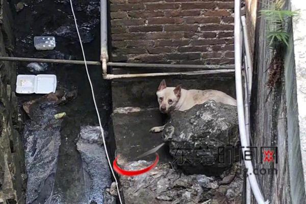 A group of students from a local high school won first place in a national science competition for their invention that converts waste into energy.